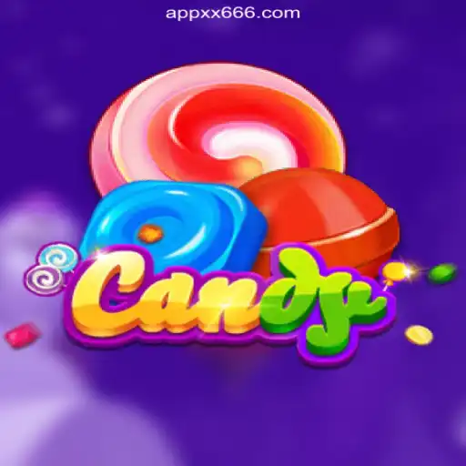 Exploring the Sweet World of 